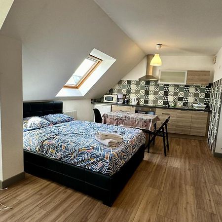 Appartement 4 Personnes En Plein Centre De 콜마 외부 사진